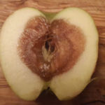 Rotten On The Inside